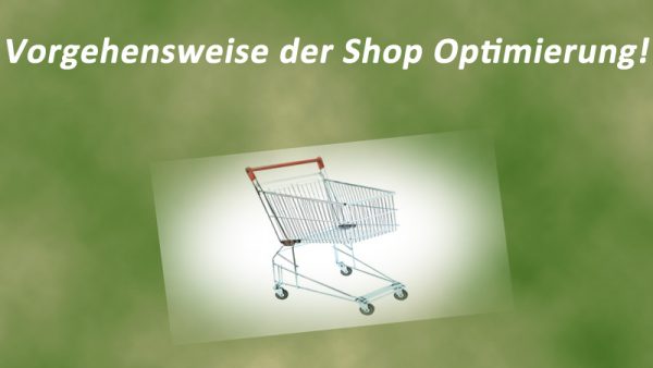 Die Vorgehensweise bei der Onlineshop E-Commerce Optimierung