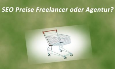 E-Commerce SEO Preise Freelanzer oder Agentur?