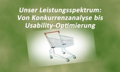 Das SEO Leistungsspektrum von Internetdienste Burkart: Von Konkurrenzanalyse bis Usability-Optimierung